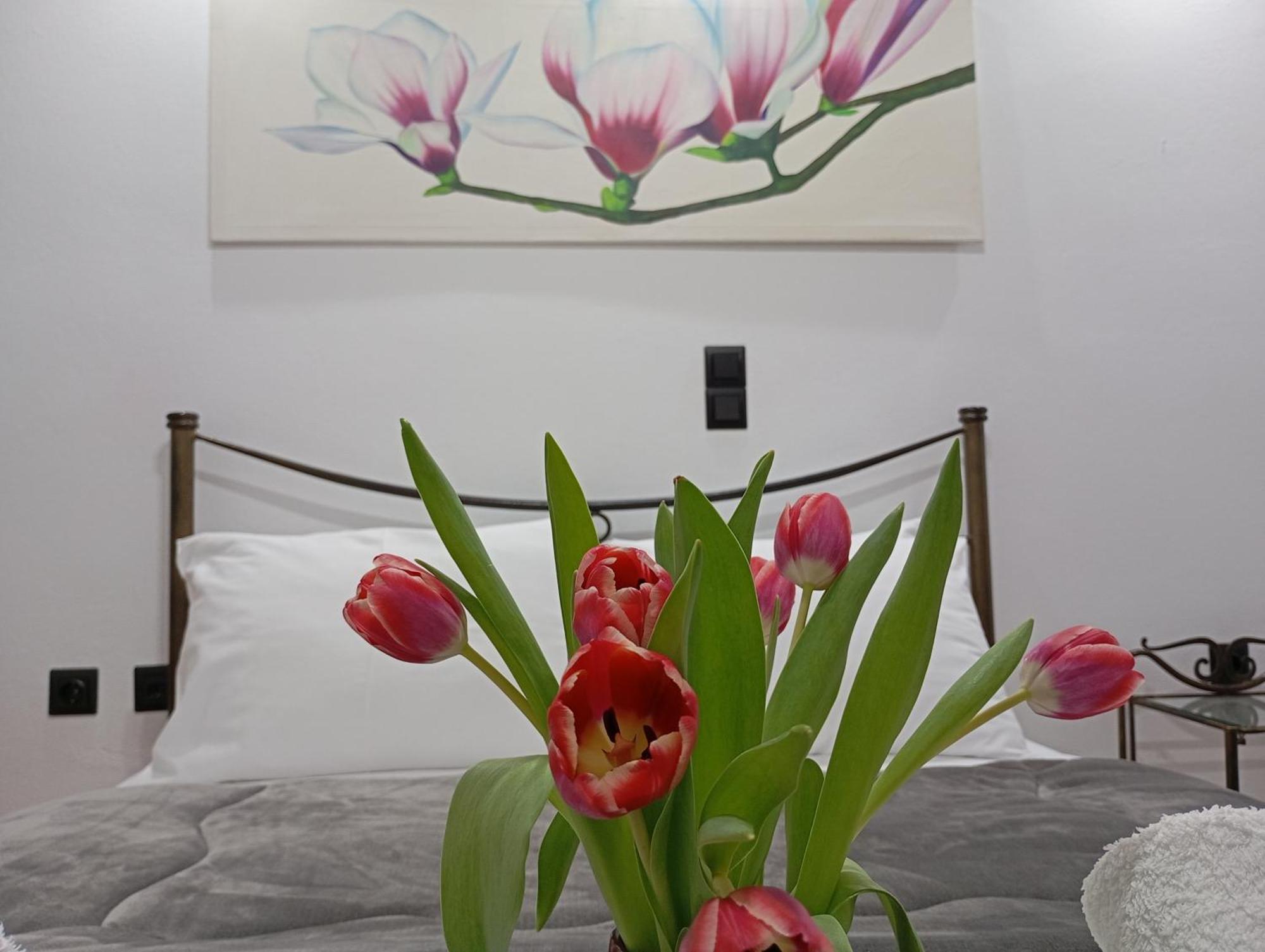 Vaso'S Appartments A Mesolóngion Dış mekan fotoğraf